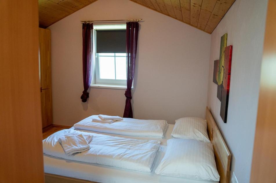 Rindis Platzl Apartmenthaus Schladming Dış mekan fotoğraf